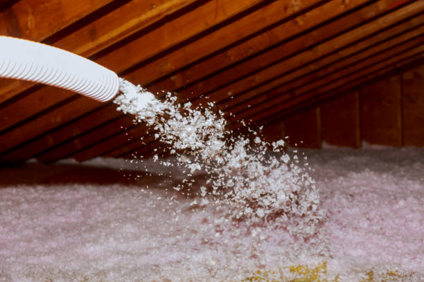 Insulation Replacement Services in Lake Fenton, MI